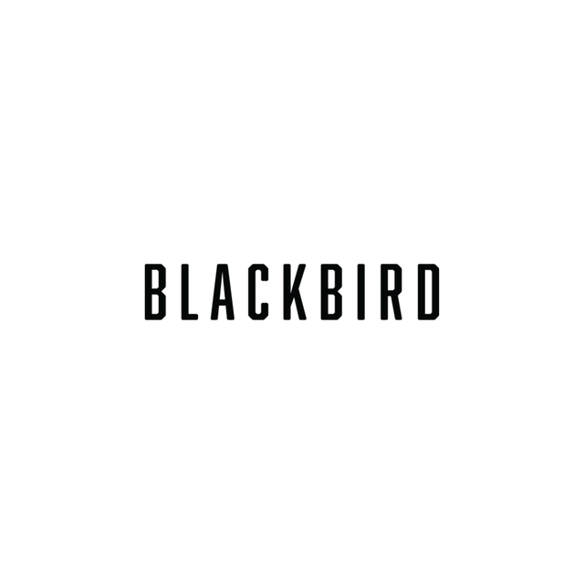 BLACKBIRD | the OBJECT ROOM