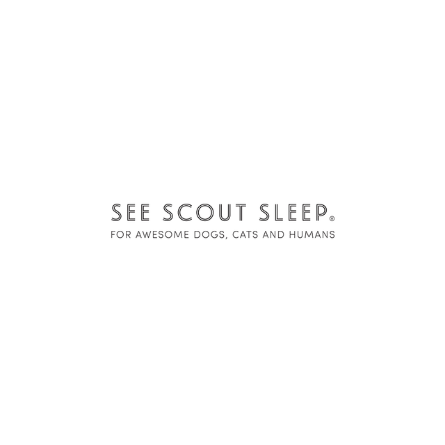 SEE SCOUT SLEEP | the OBJECT ROOM