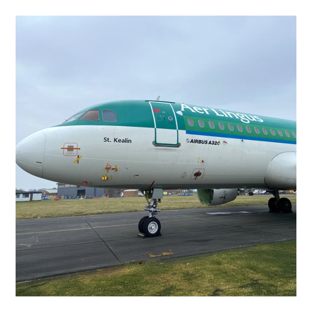 AVIATIONTAG Airbus A320 - EI-CVC - Green (Aer Lingus)