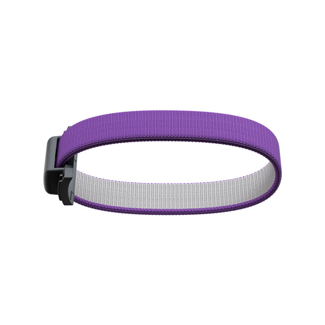 SECRID Add-on Bandwallet Original - Violet | the OBJECT ROOM