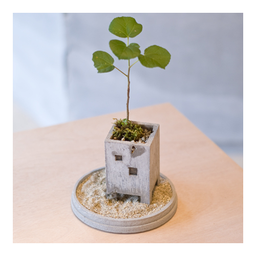 PULL PUSH PRODUCTS Sunaba Saucer Medium - Natural | the OBJECT ROOM