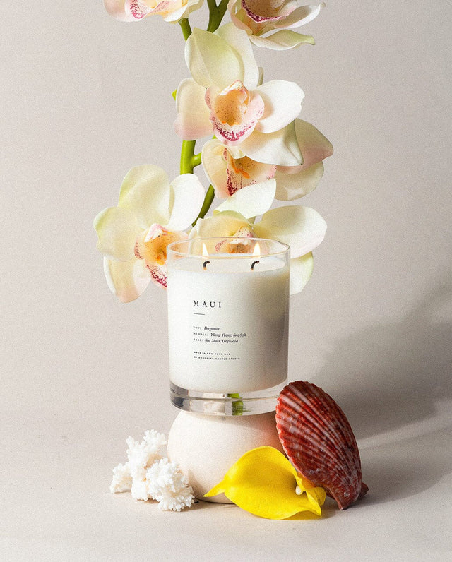 BROOKLYN CANDLE STUDIO Classic 2 Wick Candle - Maui