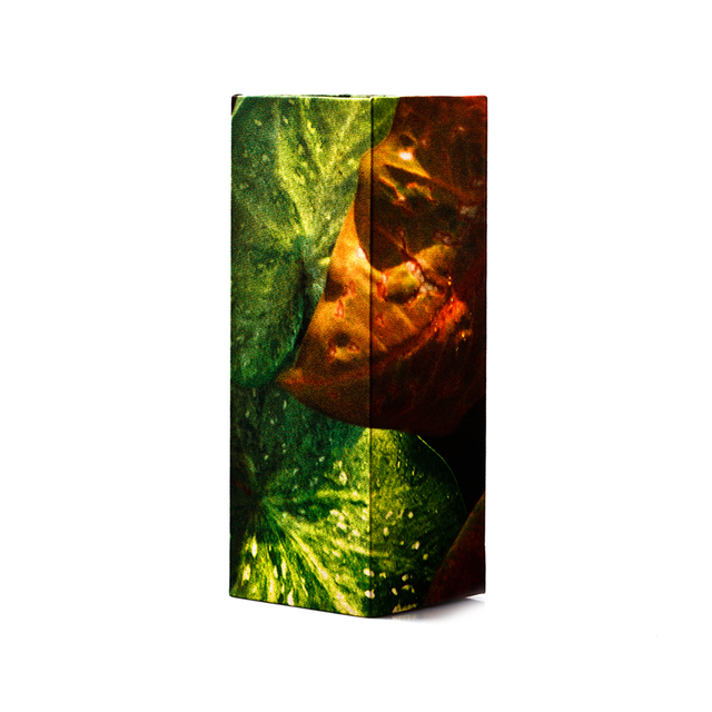 GILLES CAFFIER Polyester Cubic Vase Large - Leaves | the OBJECT ROOM