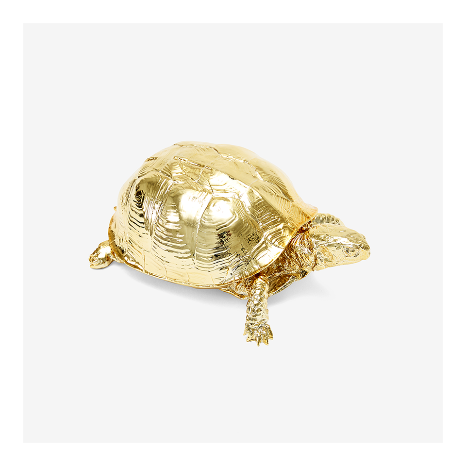 AREAWARE Turtle Box - Gold | the OBJECT ROOM