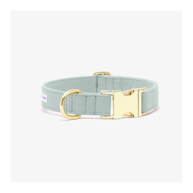 SEE SCOUT SLEEP Collar 1/2" The Scot - Light Green | the OBJECT ROOM
