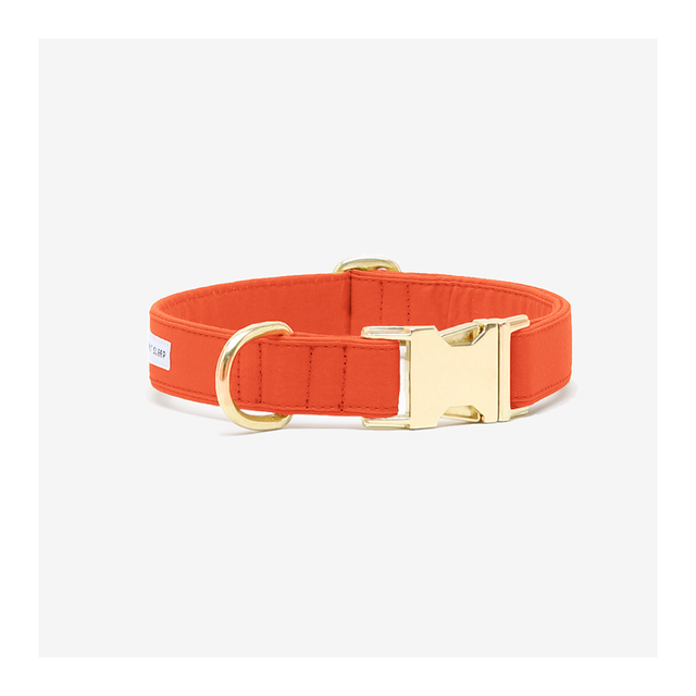 SEE SCOUT SLEEP Collar 1/2" The Scot - Visual Orange | the OBJECT ROOM
