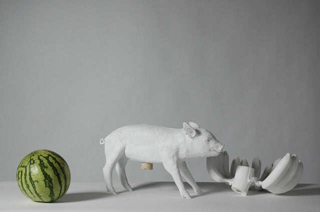 AREAWARE | THE OBJECT ROOM