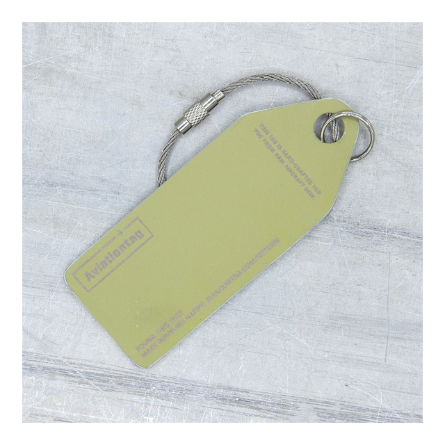 AVIATIONTAG Airbus A320 - EI-CVC - Green (Aer Lingus)