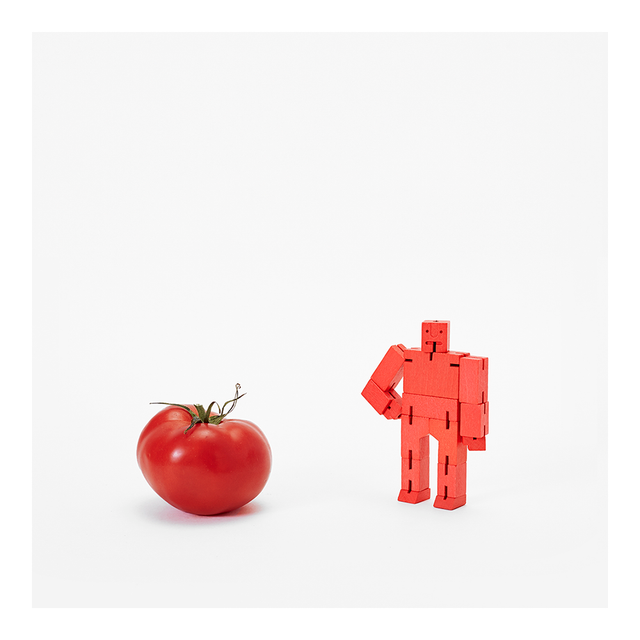 AREAWARE Cubebot Micro - Red | the OBJECT ROOM