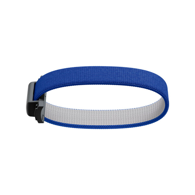 SECRID Add-on Bandwallet Original - Cobalt Blue | the OBJECT ROOM