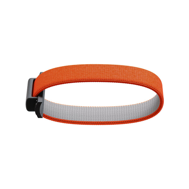 SECRID Add-on Bandwallet Original - Orange | the OBJECT ROOM