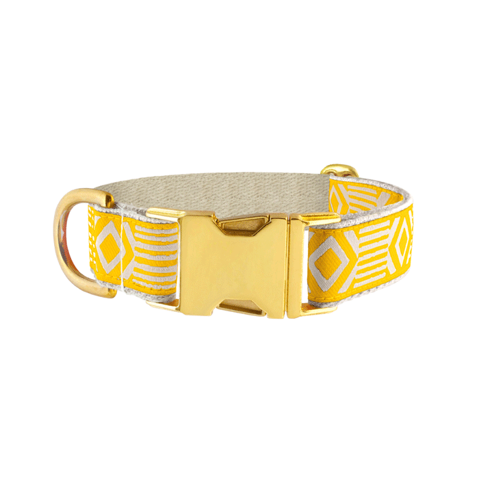 SEE SCOUT SLEEP Collar 1" Out of Box - Marigold x Cream