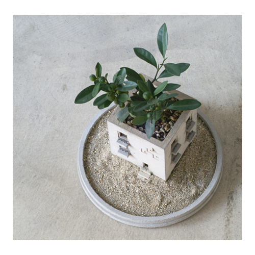 PULL PUSH PRODUCTS Sunaba Saucer Large - Natural | the OBJECT ROOM