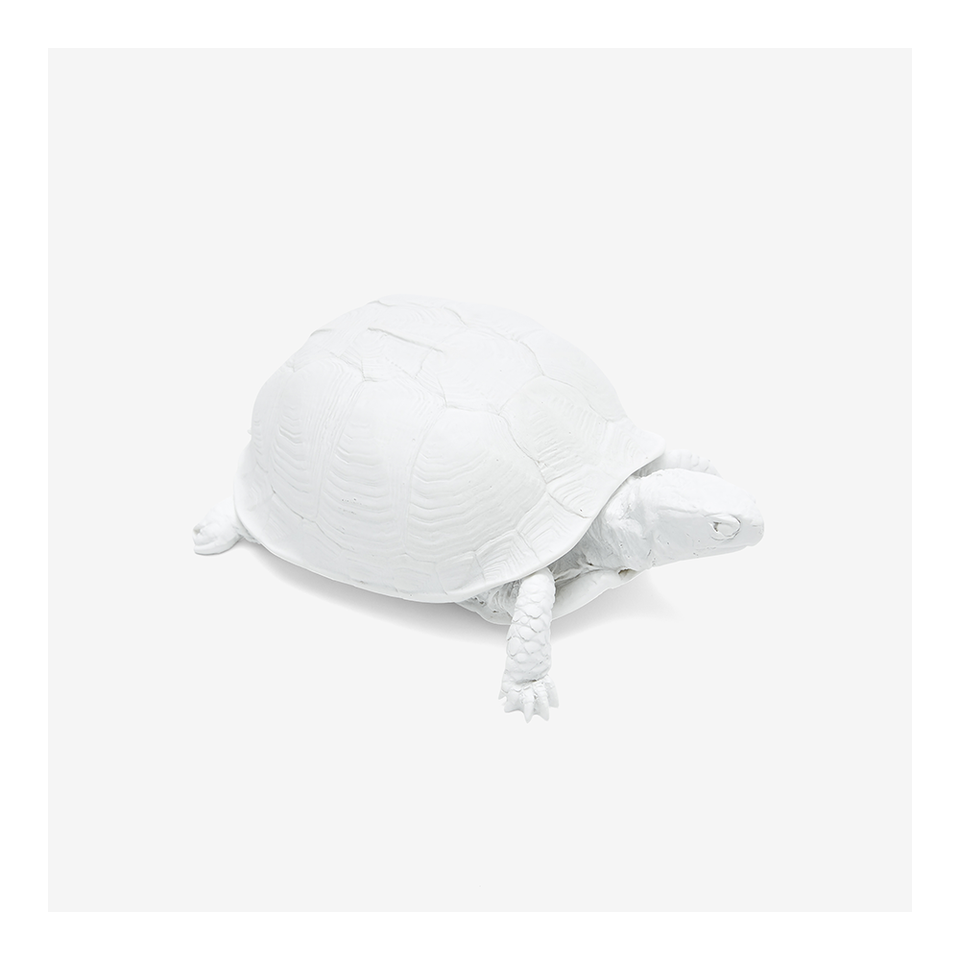 AREAWARE Turtle Box - White | the OBJECT ROOM
